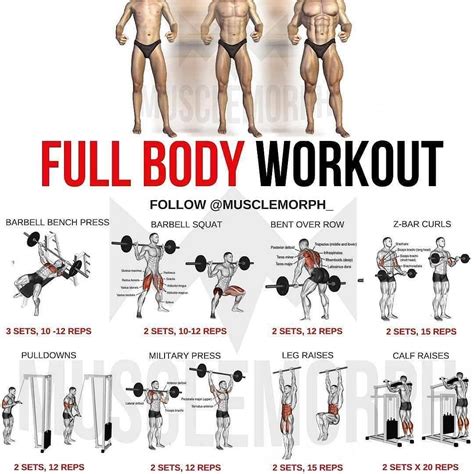 Full Body Workout Plan Pdf At Gym A Comprehensive Guide - Cardio Workout Exercises