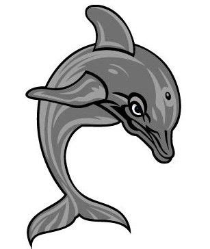 CMSV Mascot Vinny the Dolphin! | College of Mount Saint Vincent, Riverdale, Bronx, New York City ...