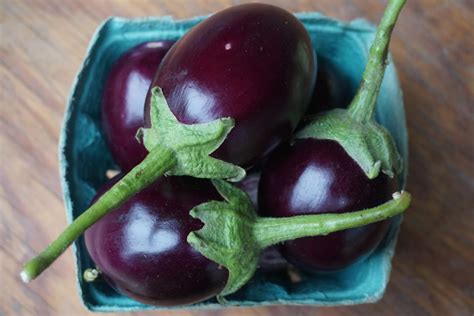 eggplant - small round - NEXT STEP PRODUCE