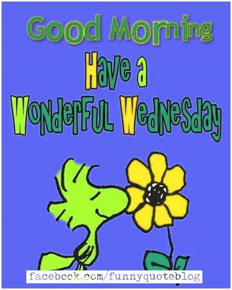 Happy Wednesday Morning Memes