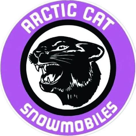 Vintage Arctic Cat Decal