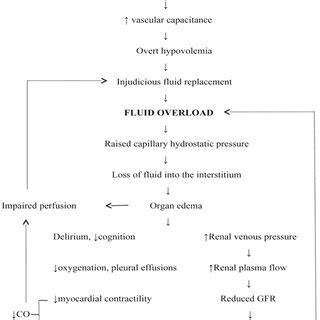 | Common methods to calculate the degree of fluid overload. | Download Table