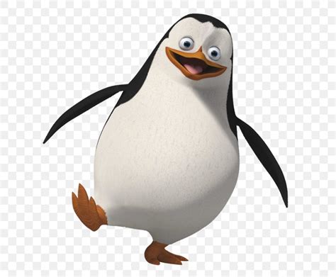 Rico Skipper Penguin Kowalski Madagascar, PNG, 700x677px, Rico, Beak ...