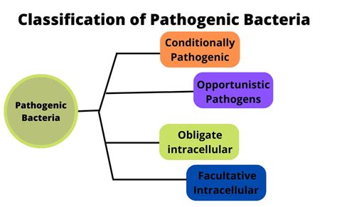 Bacterial Pathogenicity | Classification of Pathogenic Bacteria