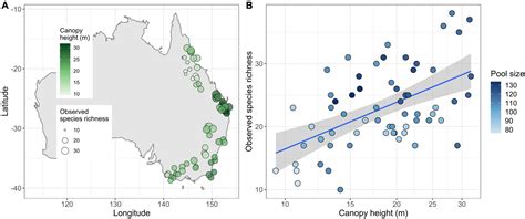 Frontiers | Vegetation complexity and pool size predict species richness of forest birds