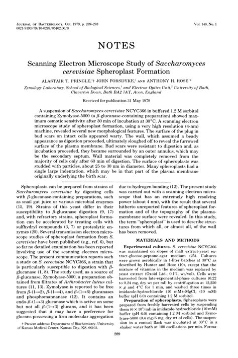 (PDF) Scanning Electron Microscope StudyofSaccharomyces cerevisiae Spheroplast Formation