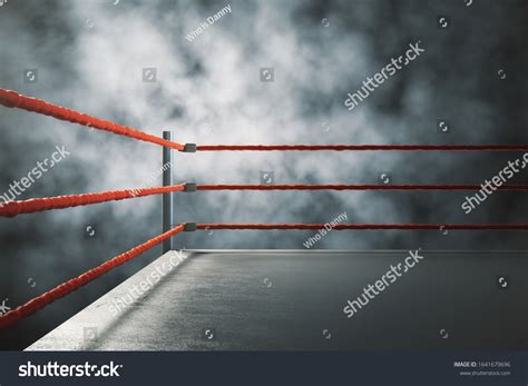 Professional Boxing Ring Surrounded Red Ropes Stock Illustration ...