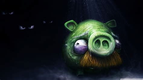Angry Birds Pigs In Real Life - 1366x768 Wallpaper - teahub.io