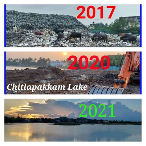 Volunteers join hands to restore Chitlapakkam Lake