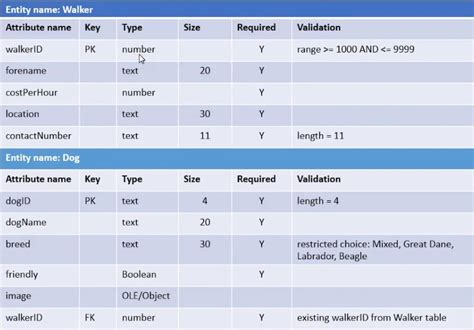 Business Data Dictionary Template – PARAHYENA