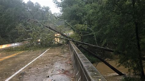 Photos: Michael leaves behind storm damage in South Carolina | wltx.com