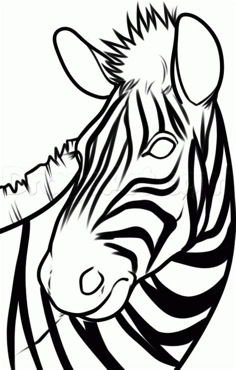 De 25+ bedste idéer inden for Zebra drawing på Pinterest | Sten og Saatchi online