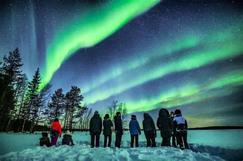 Rovaniemi: Northern Lights Photography Tour & BBQ | GetYourGuide