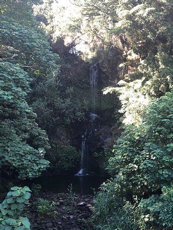 Kohala Waterfalls Adventure (Kailua-Kona) - 2020 All You Need to Know BEFORE You Go (with Photos ...