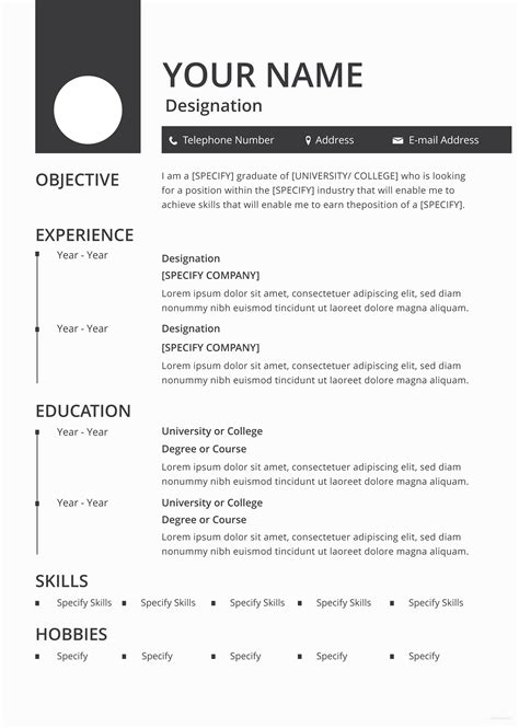 Free Blank Resume and CV Template in Adobe Photoshop, Microsoft Word ...