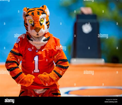 The Clemson Tiger Mascot during the Clemson Football Spring Game ...