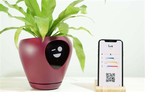 Gardening woes? This smart pot helps your plant express its 'feelings'