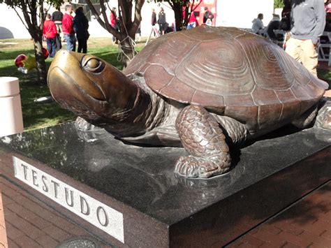 Why is the University of Maryland's mascot (a terrapin) na… | Flickr