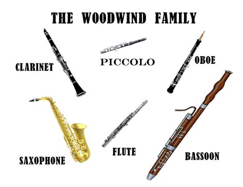 Difference Between A Brass And Woodwind Instruments at Norma Zielinski blog