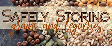 Long Term Storage: How to Store Grains and Legumes - Provident Home Companion