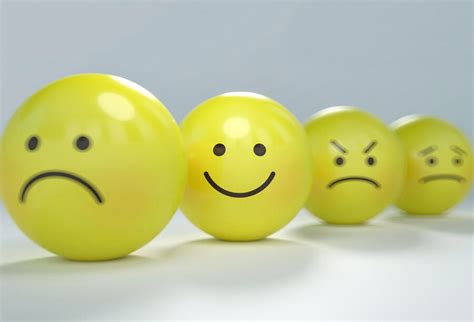 Managing Emotions in the Workplace: Do Positive and Negative Attitudes Drive Performance ...