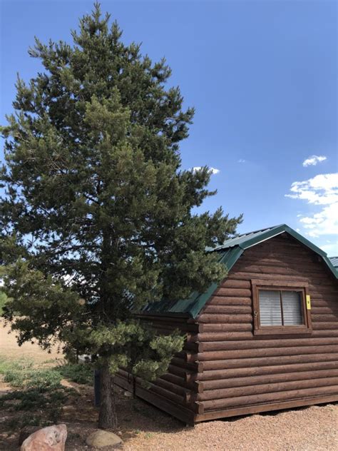 Campground Spotlight: Colorado Springs KOA Holiday - Metropolitan Mama