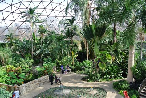 Botanical Garden Reopens Indoor Spaces – dsm magazine