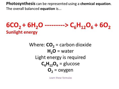 [Download 16+] Download Photosynthesis Equation Png jpg