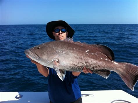 Gulf of Mexico Fishing Charter