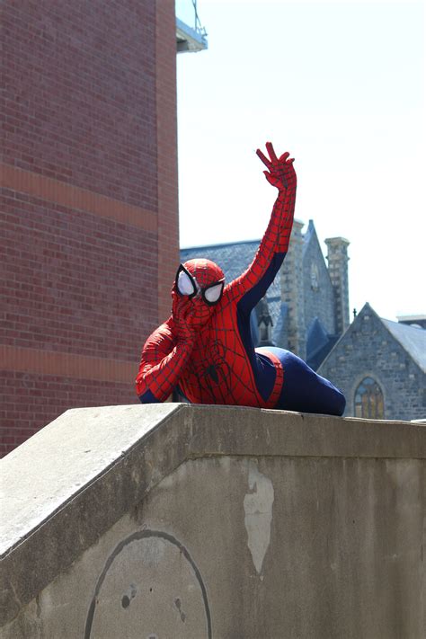 Free stock photo of funny, hero, spider man