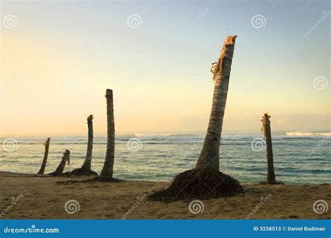 Tsunami aftermath stock image. Image of ocean, moody, horizon - 3258513