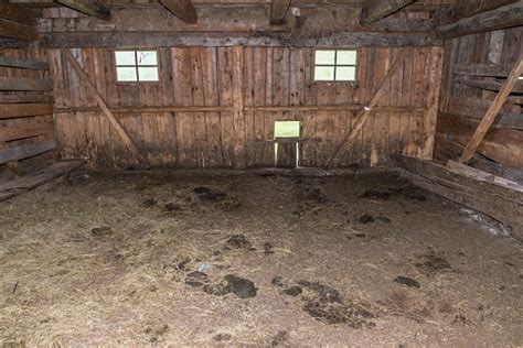 Interior View Of An Old Wooden Cowshed On An Alp Austria Stock Photo - Download Image Now - iStock