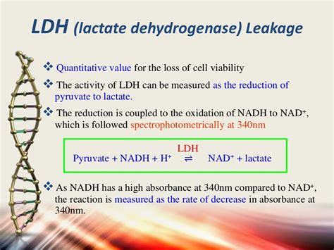 Apoptosis assays detection and methods