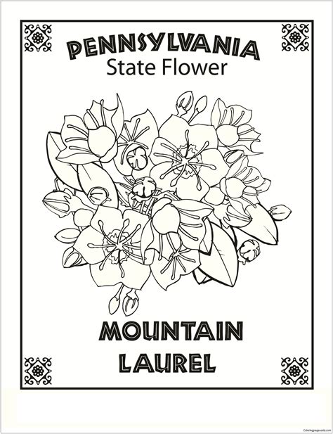 Pennsylvania State Flower Coloring Page - Free Printable Coloring Pages