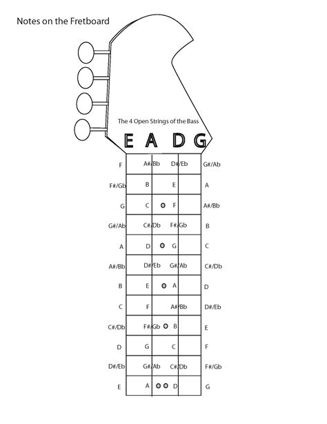 Bass Guitar Fretboard Diagram Printable