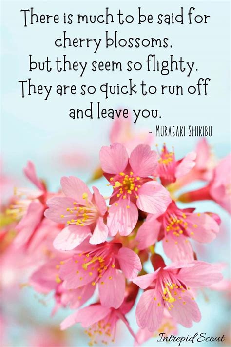 165 Beautiful CHERRY BLOSSOM QUOTES and CAPTIONS for Instagram • Intrepid Scout