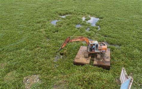 Restoring Chennai’s Lake Sembakkam for water security and improve