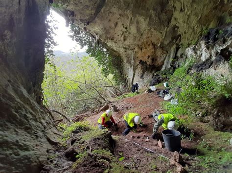 Badger leads archaeologists to hoard of Roman coins in northern Spain | CNN