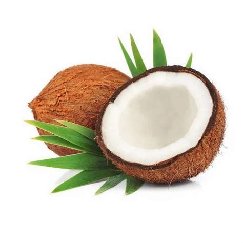 Dried Coconut - Dried Coconut Meat, Dehydrated Coconut Exporters in India