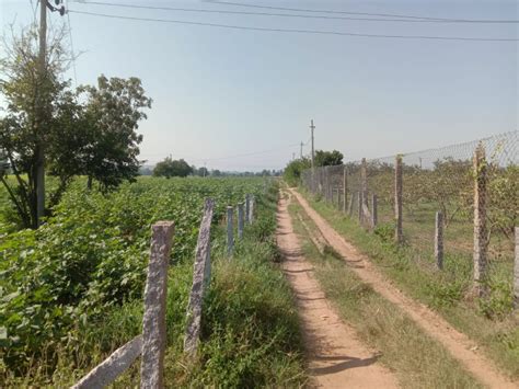 Agricultural Land 4840 Sq. Yards for Sale in Shamirpet, Hyderabad (REI1126945)