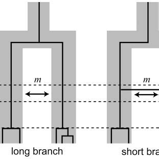 Model of gene flow after speciation. Gene flow between species occurred ...