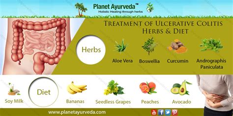 How to Treat and Prevent Ulcerative Colitis Flares Naturally | Dr. Vikram Chauhan's Blog