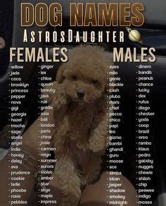 Girl Puppy Names - 1,000 Dog Names for Girls | VIP Puppies | Puppy ...