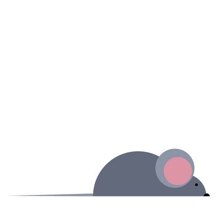 vector mouse illustration rat gnawing loves cheese gray tail cute whiskers teeth nose ...