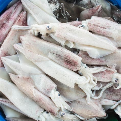 Exploring the Delicious World of Frozen Squid: A Comprehensive Guide