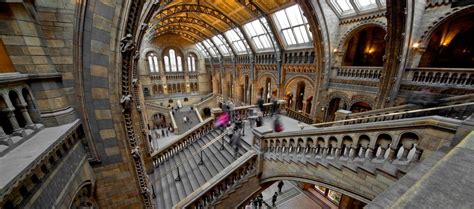 The 10 Best Museums In London | From Architecture To Quaggas