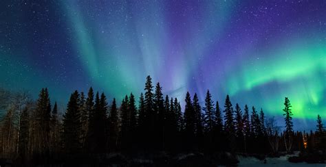 Witness the majestic Canadian northern lights via livestream (VIDEO ...