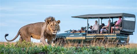 The Ultimate Guide to a Zambia Safari | Go2Africa