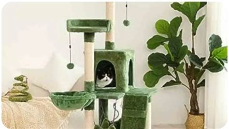 Kitty Mansions Cat Tree: Assembly Tips and Tricks | Unified Cat