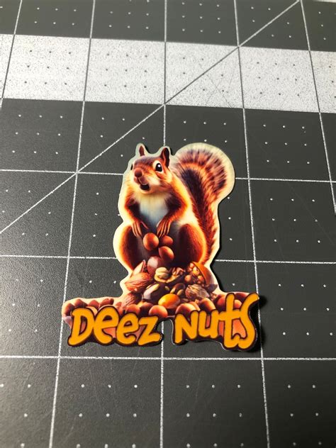 Deez Nuts Squirrel on a Pile of Tree Nuts Vinyl Sticker - Etsy